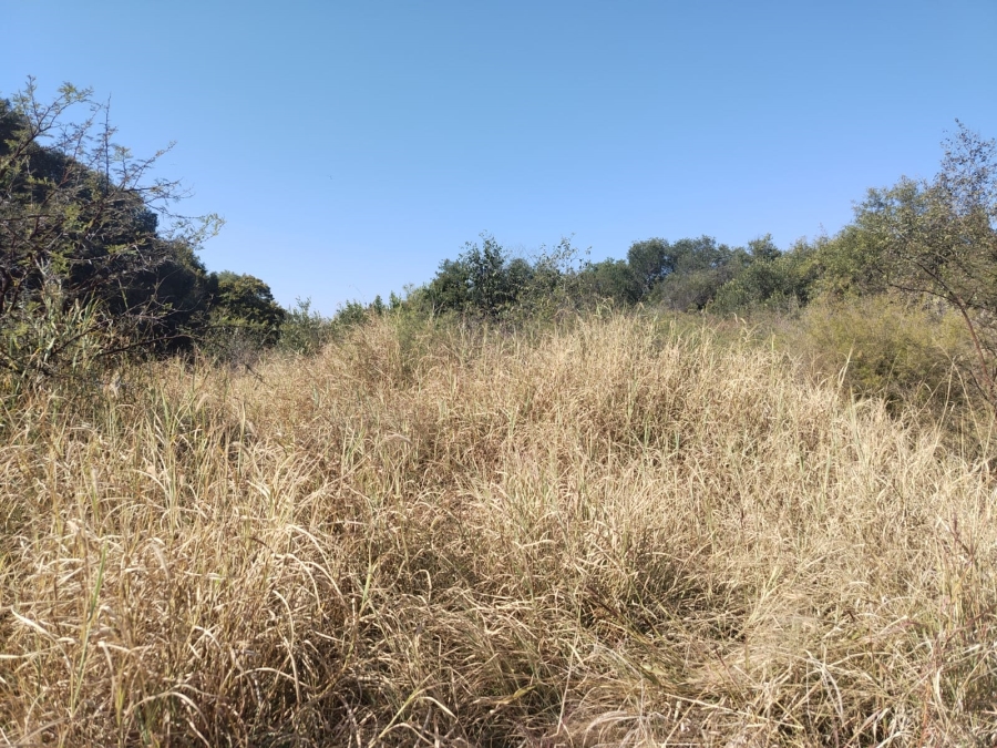 Commercial Property for Sale in Swartruggens North West